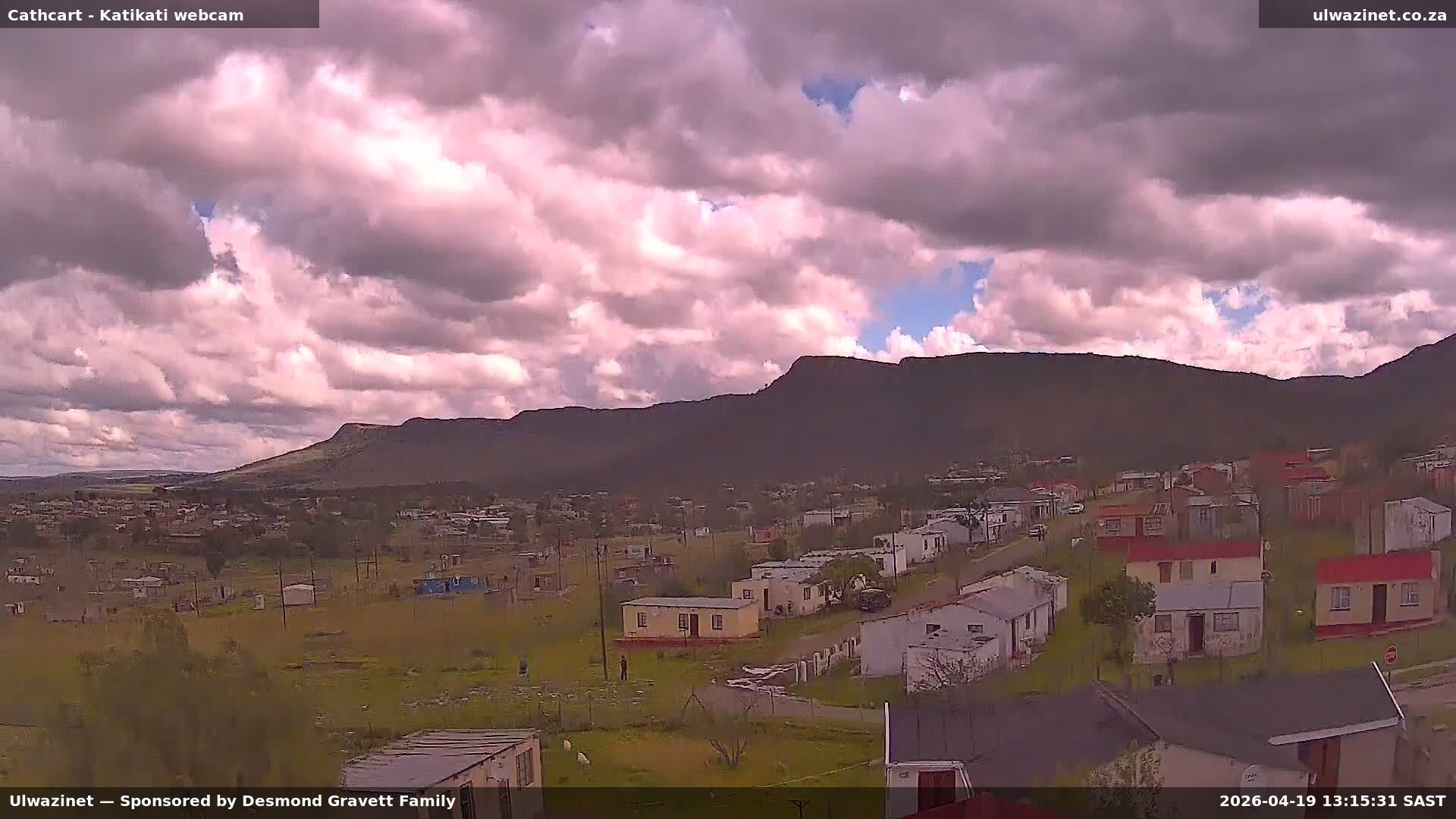 Katikati-1 Live Webcam